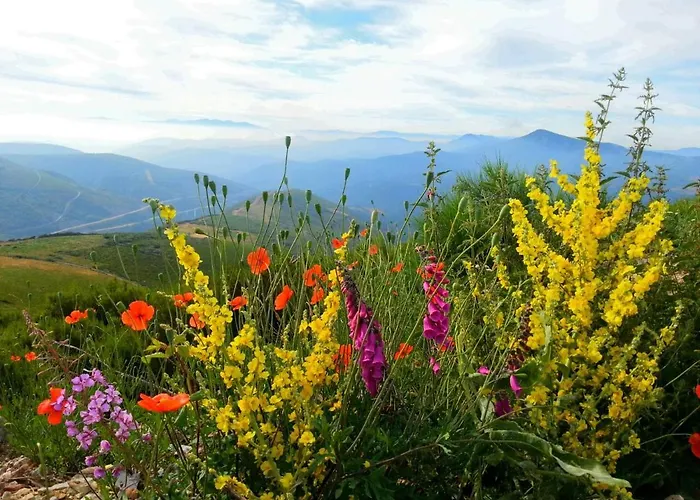 Πανσιόν Pension Casa Carolo O Cebrero